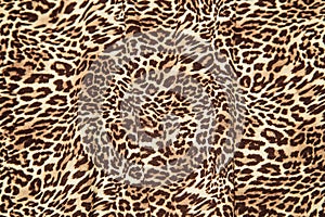 Leopard background texture safari pattern leopard print fabric material design.