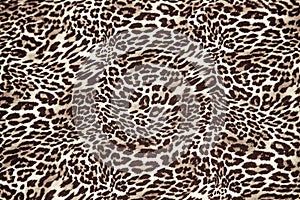 Leopard background texture, safari pattern, leopard print fabric, material, design.