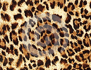 Leopard backgrounds pattern