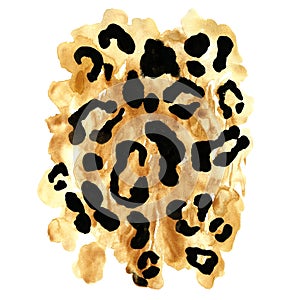 Leopard or cheetah skin print, isolated on white. African wild cats coat with balck spots on brown background. Camouflage set