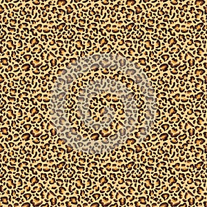 Leopard, cheetah spotted texture, leopard seamless pattern design, background