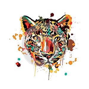 Leopard color, brush strokes spray paint, leopard head face, African animals