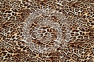 Leopard effect fabric pattern background sample. Leopard print seamless background.