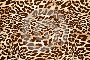 Leopard effect fabric pattern background sample. Leopard print seamless background.