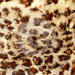 Leopard fur