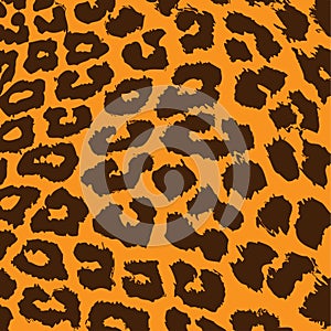 Leopard fur pattern