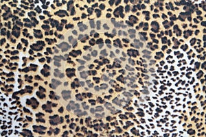 Leopard fur skin texture