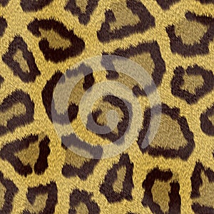 Leopard fur texture