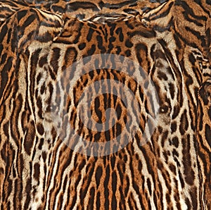 Leopard fur texture background