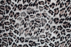 Leopard fur texture for design