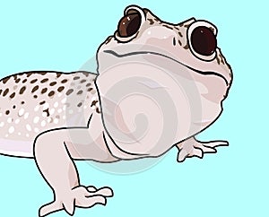 Leopard gecko  art