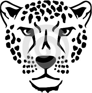 Leopard head animal