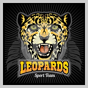 Leopard Head - Mascot Emblem for sport team. Vector illustration for t-shirt and badges