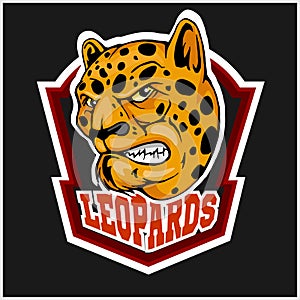 Leopard head mascot for sport team