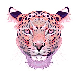 Leopard head, vector isolated animal