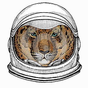 Leopard head. Wild cat. Animal for african safari logo emblem. Astronaut animal. Vector portrait. Cosmos and Spaceman