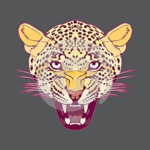 Leopard headâ€“ stock illustration â€“ stock illustration file