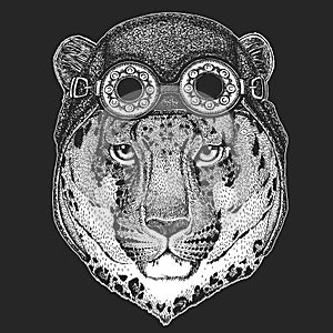 Leopard, jaguar face, head. Aviator leather helmet. Portrait of wild animal.