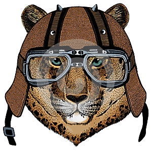 Leopard, jaguar face. Portrait of wild animal. Motorcycle helmet.