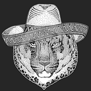 Leopard, jaguar face. Sombrero is traditional mexican hat. Mexico. Portrait of wild animal.