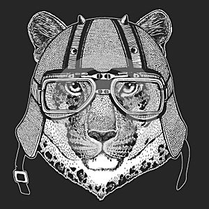 Leopard, jaguar face. Vintage motorcycle leather helmet. Portrait of wild animal.