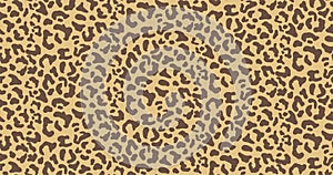 Leopard or jaguar print seamless pattern, textured fashion print, abstract safari background for fabric, textile. Effect