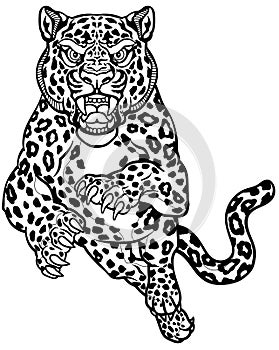 Leopard jump in the front view. Black and white