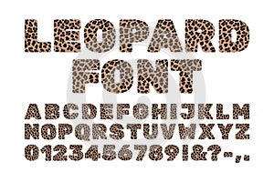 Leopard letters and numbers Leopard spots font Wild animal alphabet