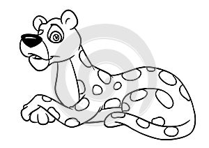 Leopard lies animal character  cartoon illustration coloring page