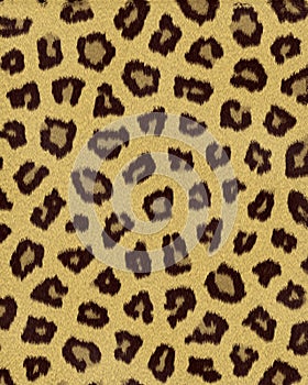 Leopard medium spots short fur