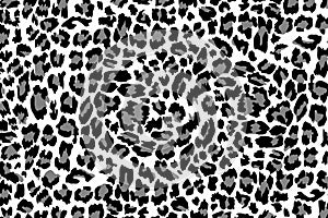 Leopard Patten Illustration