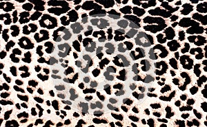 Leopard Pattern