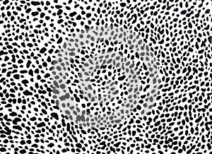 Leopard pattern