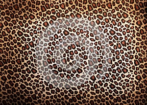 Leopard pattern