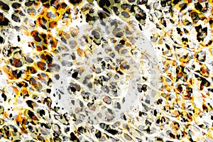 Leopard pattern abstract backgroud. Generative AI