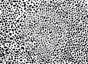 Leopard pattern img