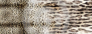 Leopard Pattern. Leopard Print. Leopard Texture. Leopard background. Animal Skin For Textile Print, Wallpaper.Geometric And Ethnic