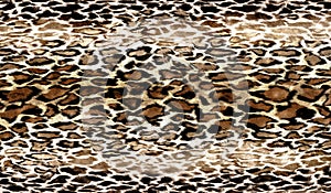 Leopard Pattern. Leopard Print. Leopard Texture. Leopard background. Animal Skin For Textile Print, Wallpaper.Geometric And Ethnic