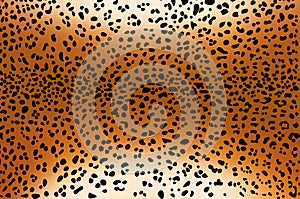 Leopard pattern skin