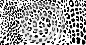 Leopard pattern texture repeating seamless monochrome black white
