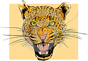 Leopard Portrait. Angry wild big cat head. Cute face of African Aggressive predator with bared teeth in cartoon style