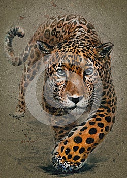 Leopard predator watercolor painting animals background texture