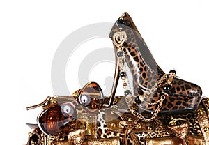 Leopard print accessories: handbag, shoe, sunglass