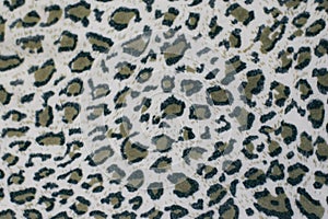Leopard print background