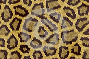 Leopard print background