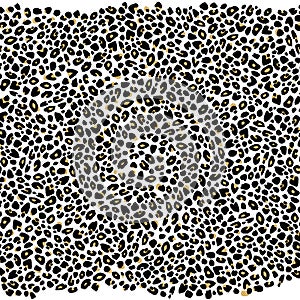 Leopard Print Background