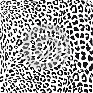 Leopard print background