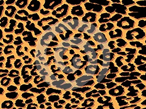 Leopard print background