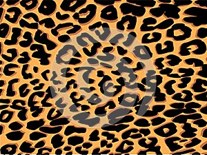 Leopard print background