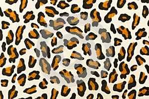 Leopard print background texture